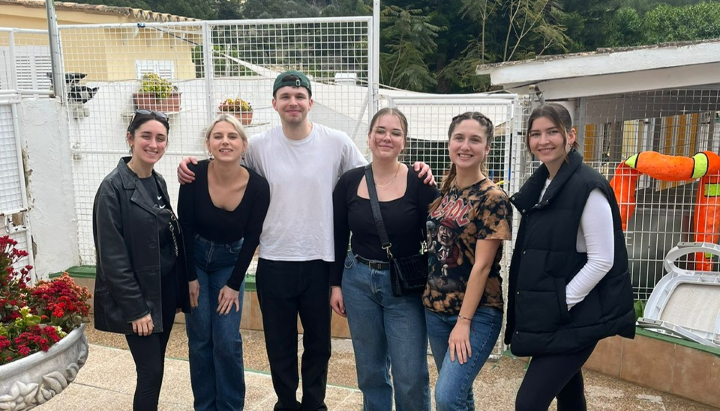 Volunteer Work at Tierhilfe Mallorca e.V. Shelter Supporting